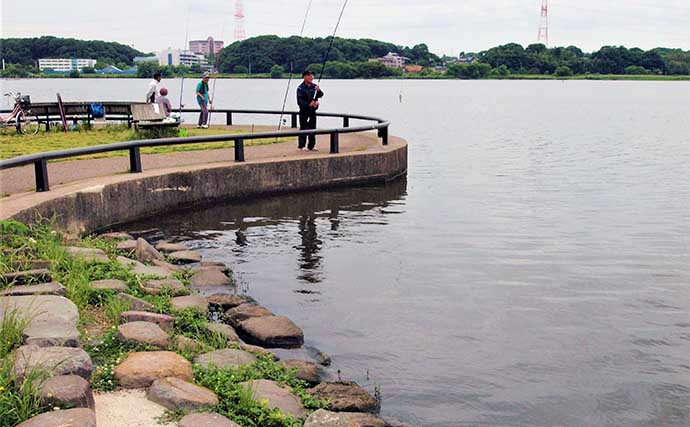 首都圏の淡水小物好釣り場：手賀沼公園【千葉】水と緑があふれる憩いの空間