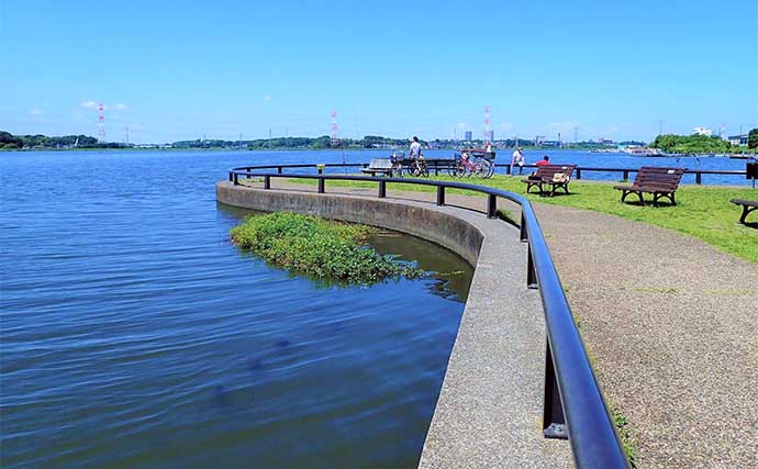首都圏の淡水小物好釣り場：手賀沼公園【千葉】水と緑があふれる憩いの空間