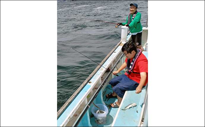 関東の【船釣り特選釣果】東京湾でシロギスにアジ好調！沖釣り入門に最適