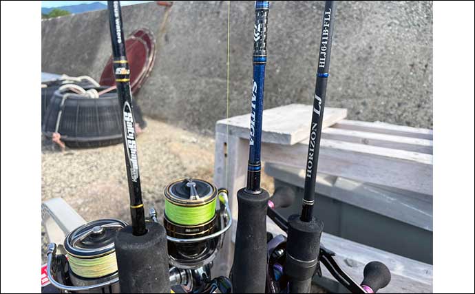 SLJ釣行で30cm超え良型イサキ8尾【山口】ルアーで狙うイサキ釣りがシーズンイン