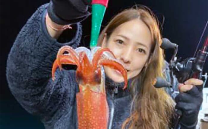 【釣果速報】福井のイカメタル船でマイカ（ケンサキ）釣る人30匹　スルメ混じりに快釣