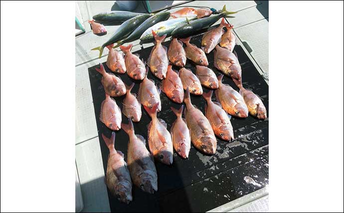 【釣果速報】福井のイカメタル船でマイカ（ケンサキ）釣る人30匹　スルメ混じりに快釣