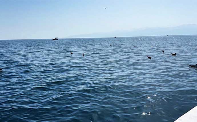 富山湾のアカムツ（ノドグロ）船が釣れる！【強神丸】釣友3人で合計20匹キャッチ