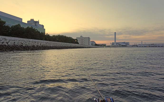 東京湾の夜アジ＆カサゴリレー釣行で両本命キャッチ【一之瀬丸】カサゴは入れ食いに