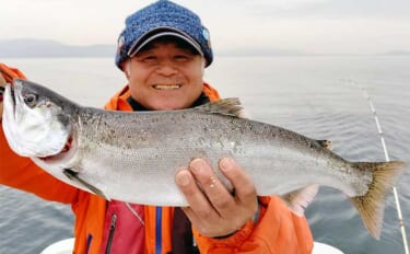 琵琶湖のレイクトローリング釣行で55cm筆頭に良型ビワマスが乱舞