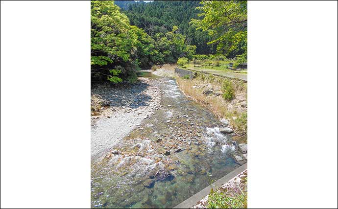 アユのトモ釣りおすすめ河川：櫛田川上流【三重】アユの放流量が多い有力ポイント
