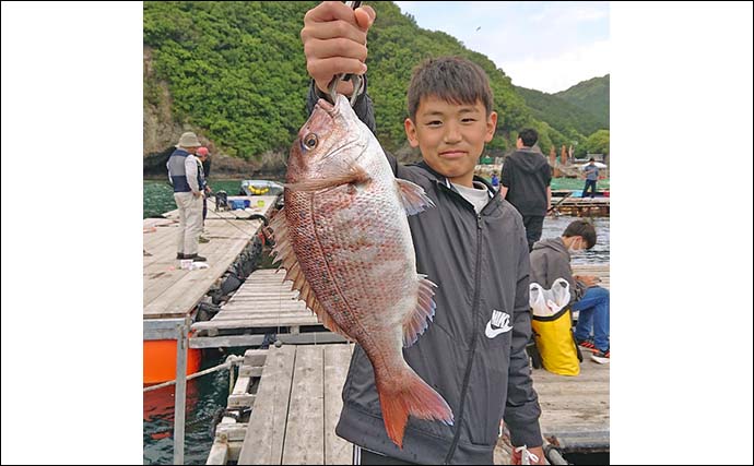 海上釣り堀でマダイや青物が好調【三重・正徳丸】名物の伊勢ブリもお目見え