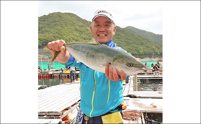 海上釣り堀でマダイや青物が好調【三重・正徳丸】名物の伊勢ブリもお目見え