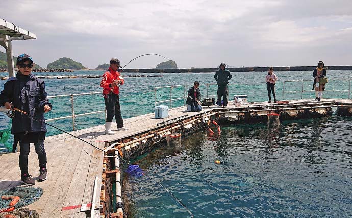 海上釣り堀でマダイや青物が好調【三重・正徳丸】名物の伊勢ブリもお目見え