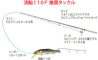 当家主母电视剧免费观看完整版