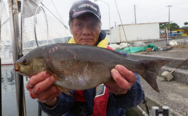 【釣果速報】50cm級大型イサキが狙い目！沖の五目釣りでゲット（大分・熊本）
