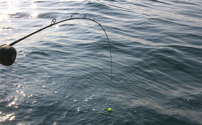 ボートで狙うアジサビキ釣り攻略【明石沖】タックル＆釣果アップの4つのコツ