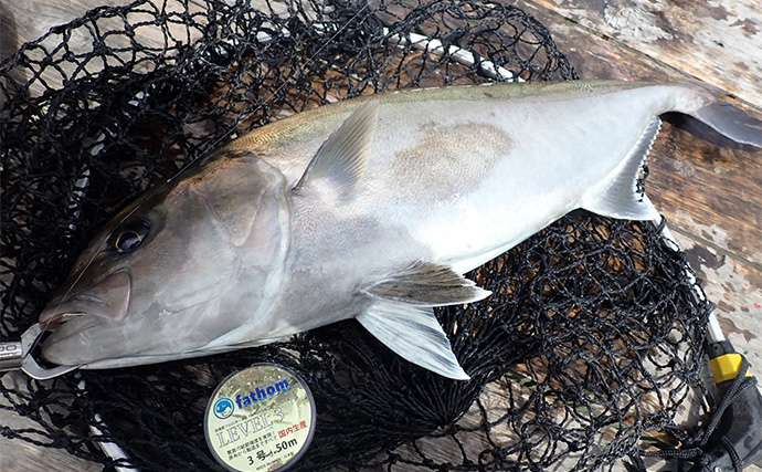 「海上釣り堀まるや」でマダイにワラサにカンパチ！【静岡】イワシの切り身が的中