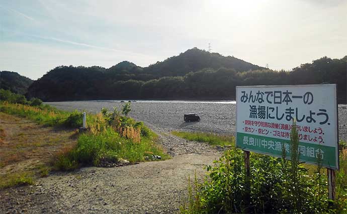 アユのトモ釣りおすすめ河川：長良川・中央漁協【岐阜】2023年も天然遡上は順調