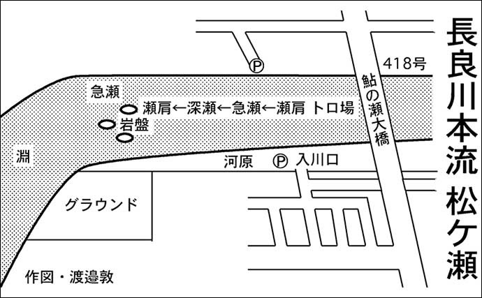 アユのトモ釣りおすすめ河川：長良川・中央漁協【岐阜】2023年も天然遡上は順調