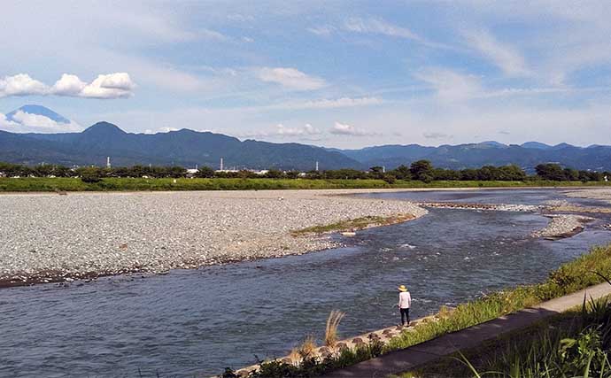 アユのトモ釣りおすすめ河川紹介2023：酒匂川【神奈川】アユルアー区間が新設