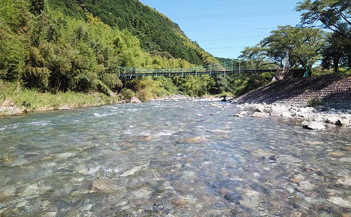 アユのトモ釣りおすすめ河川：興津川【静岡】盛期は上中流域で天然遡上を狙う