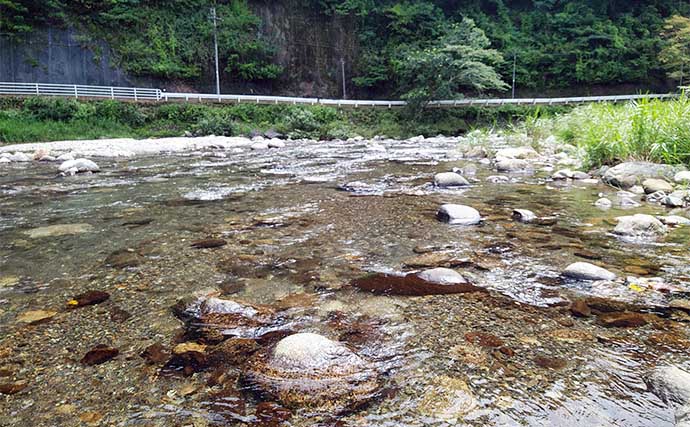 アユのトモ釣りおすすめ河川：興津川【静岡】盛期は上中流域で天然遡上を狙う