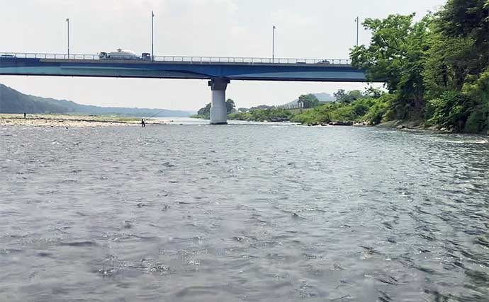 アユのトモ釣りおすすめ河川：相模川【神奈川】 釣果は天然遡上量次第