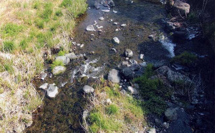 アユのトモ釣りおすすめ河川2023：秋山川【山梨】昨年は7月下旬から絶好調
