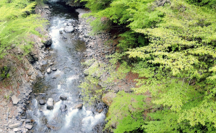 アユ友釣りおすすめ河川ガイド：丹波川（山梨） 水質良く美味なアユが特徴