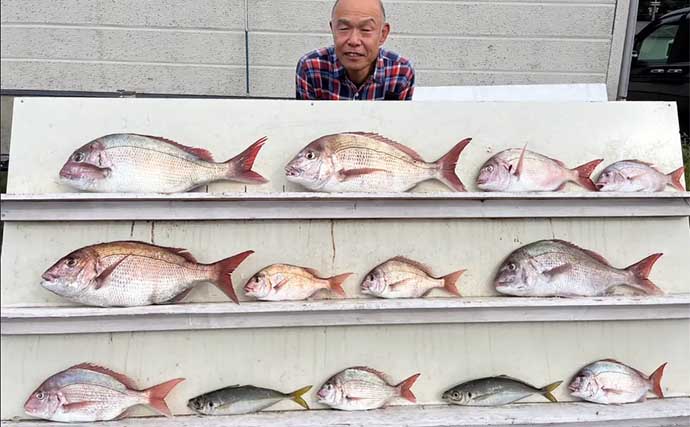 【関西の船釣り特選釣果】オキアミ五目釣りで良型マダイにイサギにアジと多彩