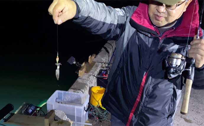 夜の堤防サビキ釣りでアジ３桁釣果【愛知・常滑港】エギングではヒイカもゲット
