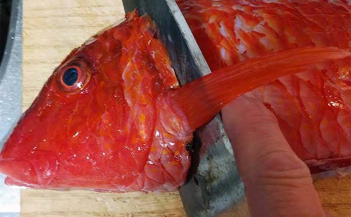 釣魚で作る「ご飯のお供」レシピ：オジサンのゴマじょう油　コリコリの食感が売り
