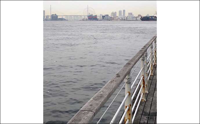 大阪南港での釣りの「昔と今」 変わりゆくターゲットと増える釣り禁止エリア
