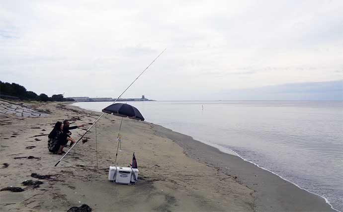 サーフの投げ釣りで17cm頭にシロギス129匹【三重・香良洲海岸】良型は藻場周りでヒット