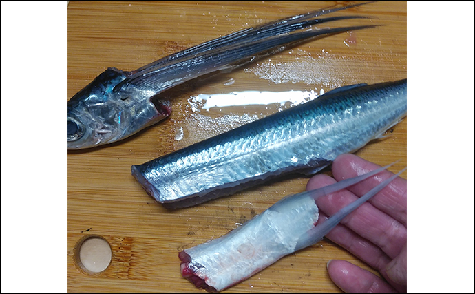 釣魚で作る「漁師めし」レシピ：トビウオの角切り　鮮度と切り方が重要