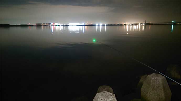 夜のブッコミ釣りで本命ウナギ手中【愛知・木曽川】近距離ポイントでヒット