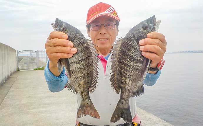 堤防フカセ釣りでクロダイ8匹キャッチ【愛知・常滑りんくう釣り護岸】