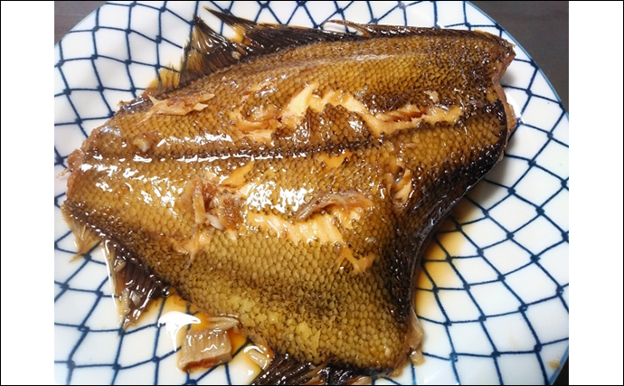 キロ４万円のカレイが水揚げされて話題　カレイは大衆魚か高級魚か？