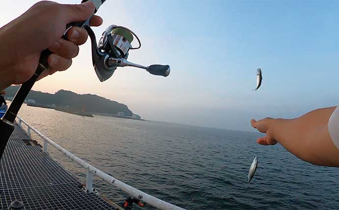 知多半島の釣り場4箇所をサビキ釣りで調査【愛知】濁りの有無で釣果に差