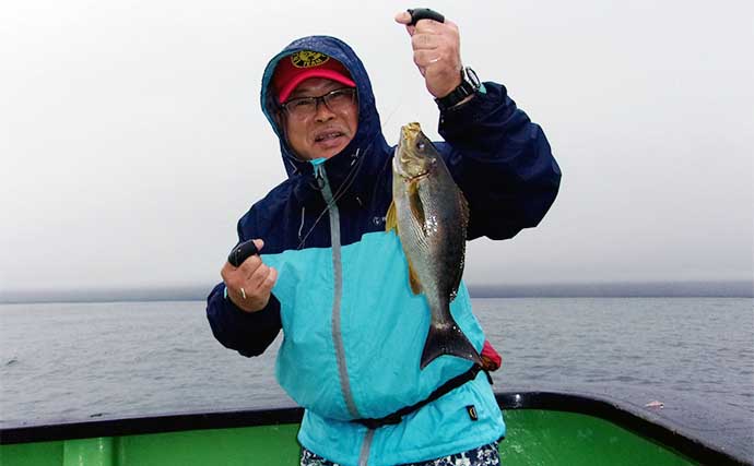 イサキ・ハナダイリレー船でキントキやマハタなど好ゲスト顔出し【千葉・増栄丸】