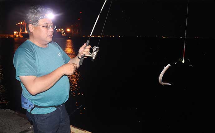 初夏のベイエリア五目釣りで11魚種をキャッチ【三重・霞ケ浦ふ頭】