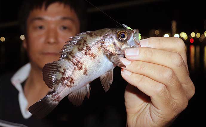 初夏のベイエリア五目釣りで11魚種をキャッチ【三重・霞ケ浦ふ頭】