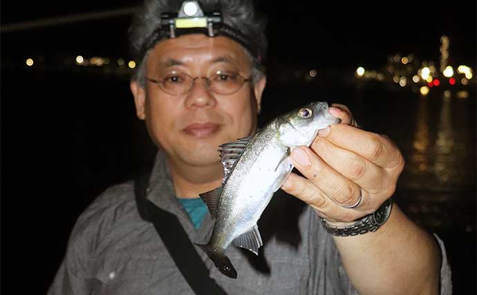 初夏のベイエリア五目釣りで11魚種をキャッチ【三重・霞ケ浦ふ頭】