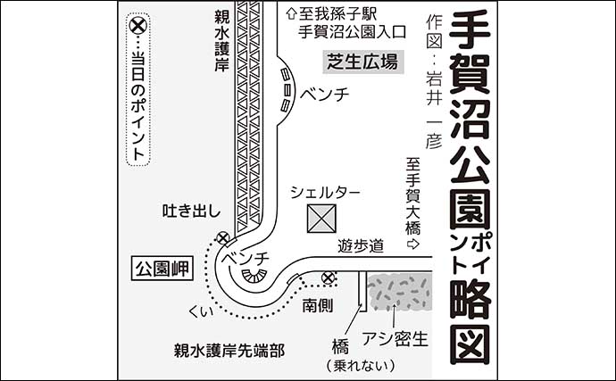 手賀沼公園のテナガエビ釣りで15cm頭に32尾【千葉】捨て石の隙間狙い連発