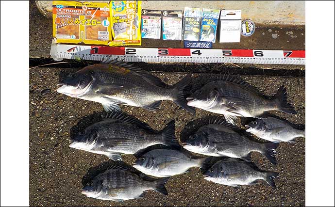 常滑港でのウキダンゴ釣りで40cm頭にクロダイ8匹【愛知】時合いに3連発