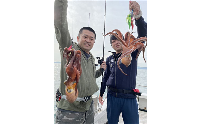 【関西の船釣り特選釣果】1kgオーバーの良型マダコが順調に顔出し！