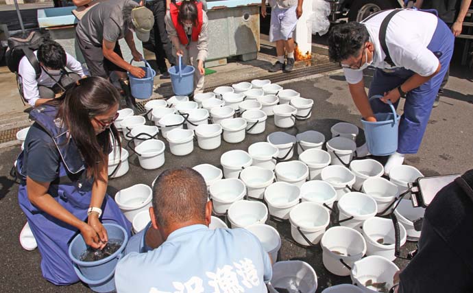 『第20回金沢漁港放流祭り』が開催　小学生らが放流体験に参加
