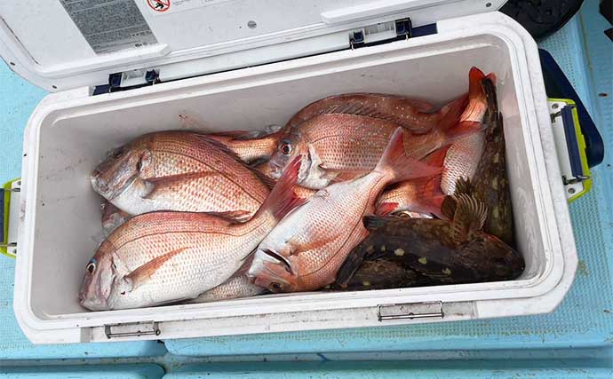 関門海峡のテンヤ真鯛釣りでゲスト混じりに本命好捕【関門RYUSEI】動かし過ぎに要注意？