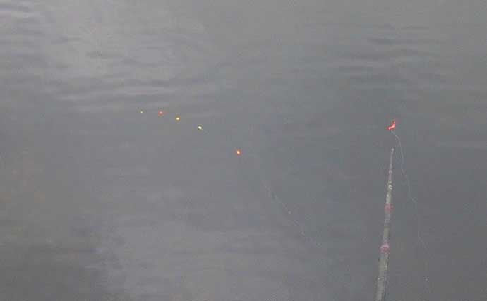 船橋港のべ竿フィッシングで10cm頭にハゼ33匹【千葉】東京湾奥にハゼ釣りシーズン到来