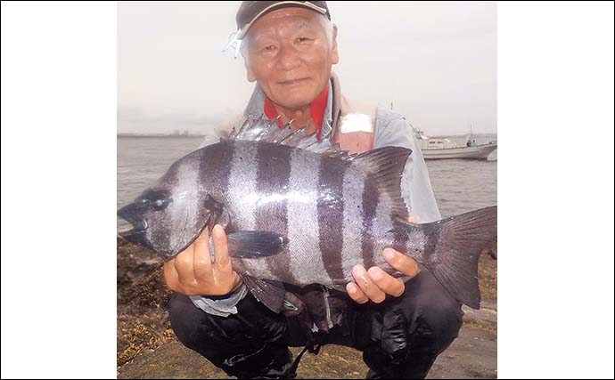 烏帽子（エボシ）群礁でのイシダイ釣りで2.2kg本命浮上【神奈川・茅ヶ崎】