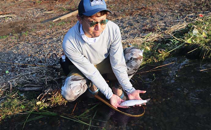 暑い夏に涼しい淡水小物釣りのススメ 【小鮎釣り＆ハスフィッシング】