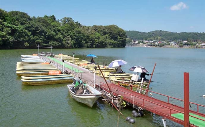 今週のヘラブナ推薦釣り場2023【千葉県・亀山湖】