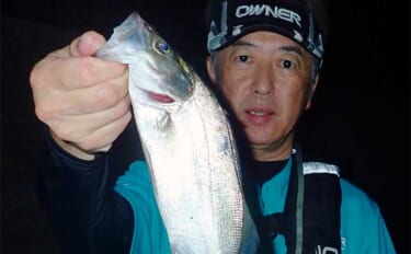 夜の堤防での電気ウキ釣りで60cm頭にスズキ連打【熊本】ヒラセイゴも混じる