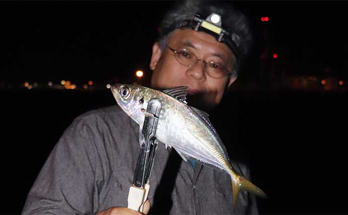 夏は夜の堤防釣りを楽しもう 【ターゲット・釣り方を解説】高級魚も狙える！
